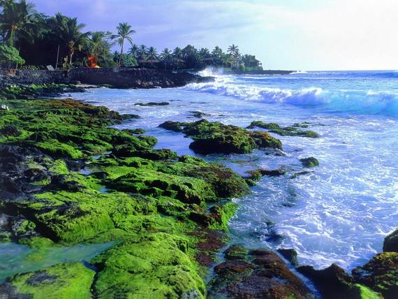 A-Seven-Day-Beach-Vacation-The-Relaxing-Hawaiian-Islands-_31
