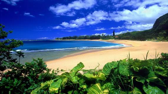 A-Seven-Day-Beach-Vacation-The-Relaxing-Hawaiian-Islands-_48