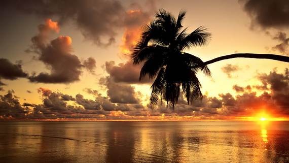 A-Seven-Day-Beach-Vacation-The-Relaxing-Hawaiian-Islands-_54