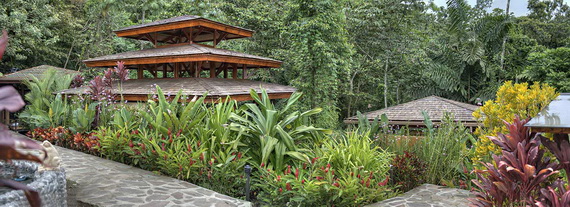 Luxurious Rainforest Experience Nayara Springs, Costa Rica_23