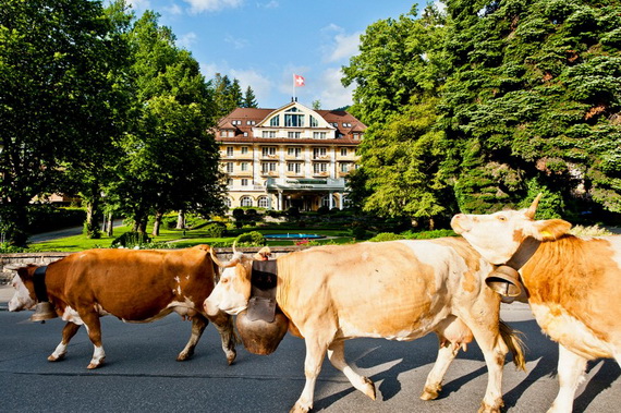 five star hotel in the Center of Gstaad Le Grand Bellevue_02