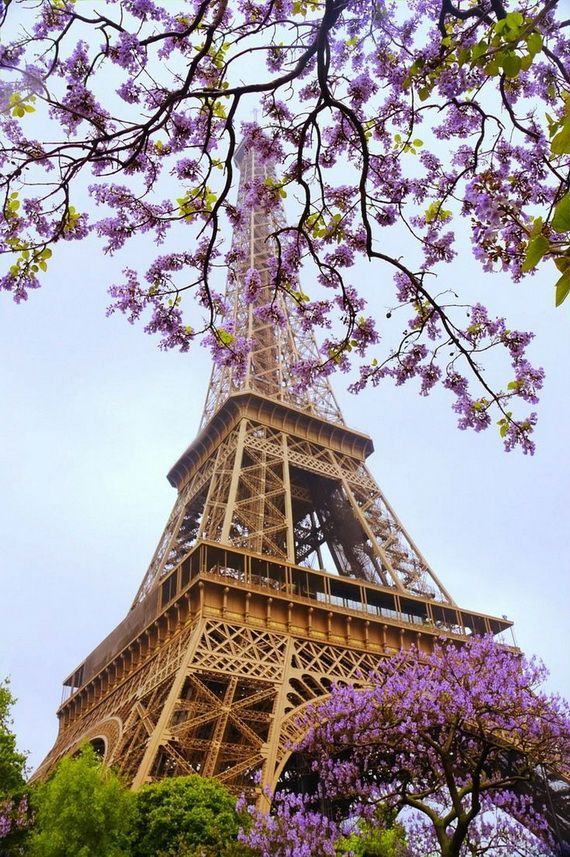 A Family-Friendly City Break  in  Paris Eiffel Tower  _04