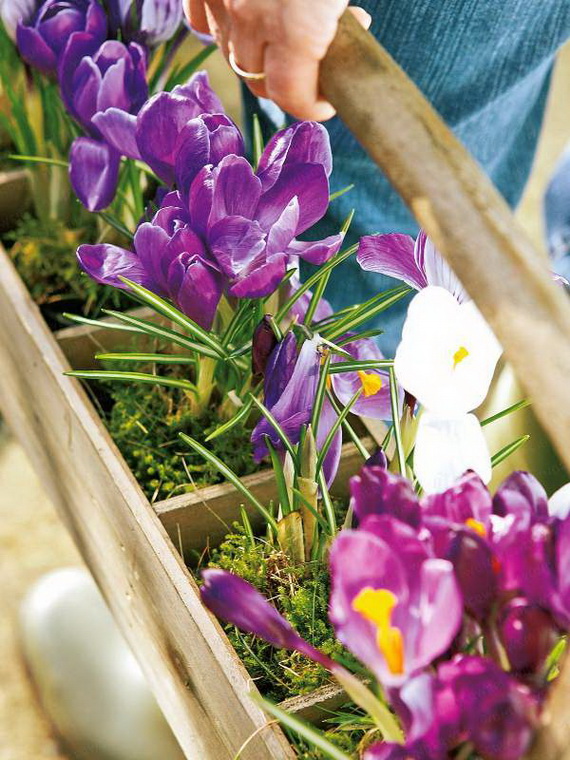 Awesome Easter and Spring Decoration Ideas (45)