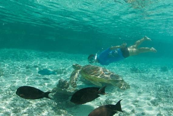Best-Overwater-Bungalows-In-Tahiti-Le-Meridien-Bora-Bora-_32