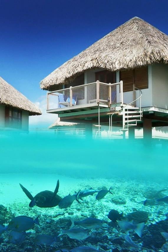 Best-Overwater-Bungalows-In-Tahiti-Le-Meridien-Bora-Bora-_67