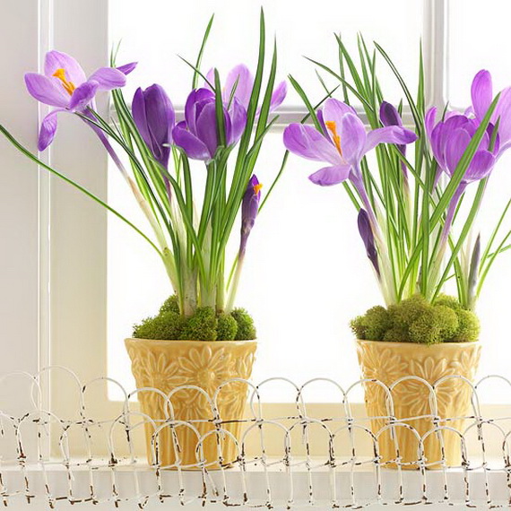 Easter and Spring Door Decoration Ideas_01