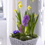 60-Hyacinths-Décor-Ideas-For-Spring-Mood-And-Elegance-_01