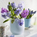 60-Hyacinths-Décor-Ideas-For-Spring-Mood-And-Elegance-_03