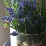 60-Hyacinths-Décor-Ideas-For-Spring-Mood-And-Elegance-_19