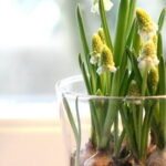 60-Hyacinths-Décor-Ideas-For-Spring-Mood-And-Elegance-_26