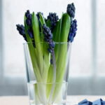 60-Hyacinths-Décor-Ideas-For-Spring-Mood-And-Elegance-_27