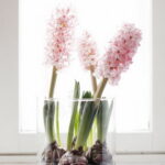 60-Hyacinths-Décor-Ideas-For-Spring-Mood-And-Elegance-_28