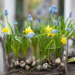 60-Hyacinths-Décor-Ideas-For-Spring-Mood-And-Elegance-_30
