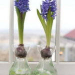60-Hyacinths-Décor-Ideas-For-Spring-Mood-And-Elegance-_32