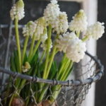 60-Hyacinths-Décor-Ideas-For-Spring-Mood-And-Elegance-_34