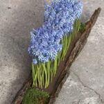 60-Hyacinths-Décor-Ideas-For-Spring-Mood-And-Elegance-_43