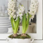 60-Hyacinths-Décor-Ideas-For-Spring-Mood-And-Elegance-_44