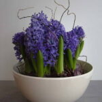 60-Hyacinths-Décor-Ideas-For-Spring-Mood-And-Elegance-_45