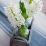 60-Hyacinths-Décor-Ideas-For-Spring-Mood-And-Elegance-_48