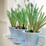 60-Hyacinths-Décor-Ideas-For-Spring-Mood-And-Elegance-_51