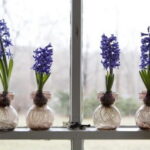 60-Hyacinths-Décor-Ideas-For-Spring-Mood-And-Elegance-_53