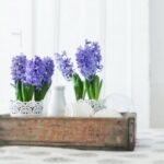 60-Hyacinths-Décor-Ideas-For-Spring-Mood-And-Elegance-_56