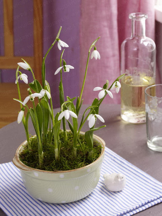 Fresh Spring Decorations Ideas - Decorate And Tinker With Moss_3