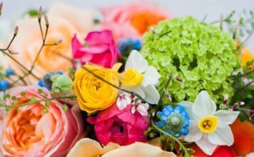 Make Your Mom Feel Special on Mother’s Day