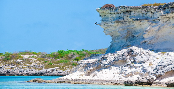 Explore The World Of Fowl Cay – No Longer Just A Dream Bahamas_13