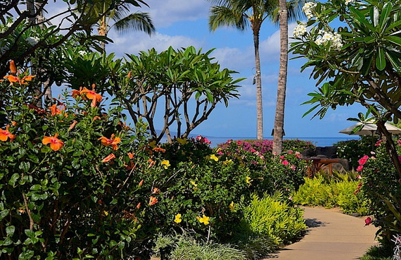 Maui-Best Honeymoon Destination in the U.S (10)