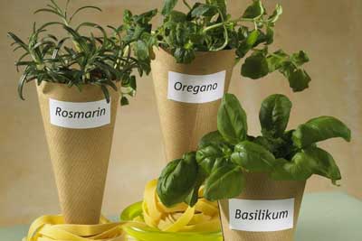 Spice Up Your Holiday Décor… Herbal Decorating  Make Great Seasonings