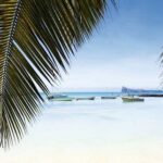 Discover-The-Magic-Of-Mauritius-An-Island-Of-Emotion-_13