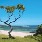 Discover-The-Magic-Of-Mauritius-An-Island-Of-Emotion-_59