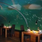 Ithaa-Fabulous-Underwater-Restaurant-Hotel-in-Maldives_04