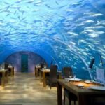 Ithaa-Fabulous-Underwater-Restaurant-Hotel-in-Maldives_09