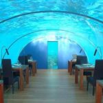 Ithaa-Fabulous-Underwater-Restaurant-Hotel-in-Maldives_11
