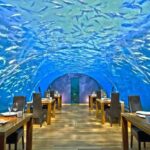 Ithaa-Fabulous-Underwater-Restaurant-Hotel-in-Maldives_16