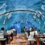 Ithaa-Fabulous-Underwater-Restaurant-Hotel-in-Maldives_17