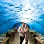 Ithaa-Fabulous-Underwater-Restaurant-Hotel-in-Maldives_24
