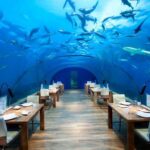 Ithaa-Fabulous-Underwater-Restaurant-Hotel-in-Maldives_26