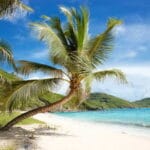 Might-Be-Time-To-Consider-Mustique-A-Must-Visit-Island_13