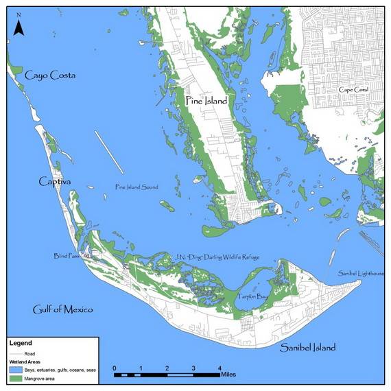 Sanibel-Island-Florida-The-Sea-Shell-Capital_15