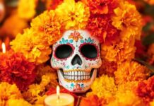 30 Mexican Day of the Dead Decoration Ideas A hand-painted white sugar skull adorned with blue, pink, and orange floral patterns, nestled tightly inside a dense bed of vibrant orange and yellow marigold flowers with a lit candle in the foreground.