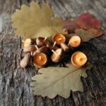 Fall-Halloween-and-Thanksgiving-Crafts_09