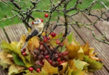 60 Fantastic Autumn Decoration Ideas and Beautiful Arrangements