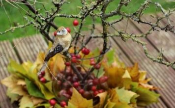 60 Fantastic Autumn Decoration Ideas and Beautiful Arrangements