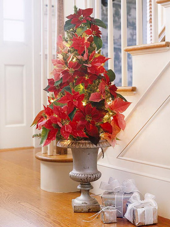Decorate Christmas with 45 ideas poinsettias the holidays’ most loved plant_06