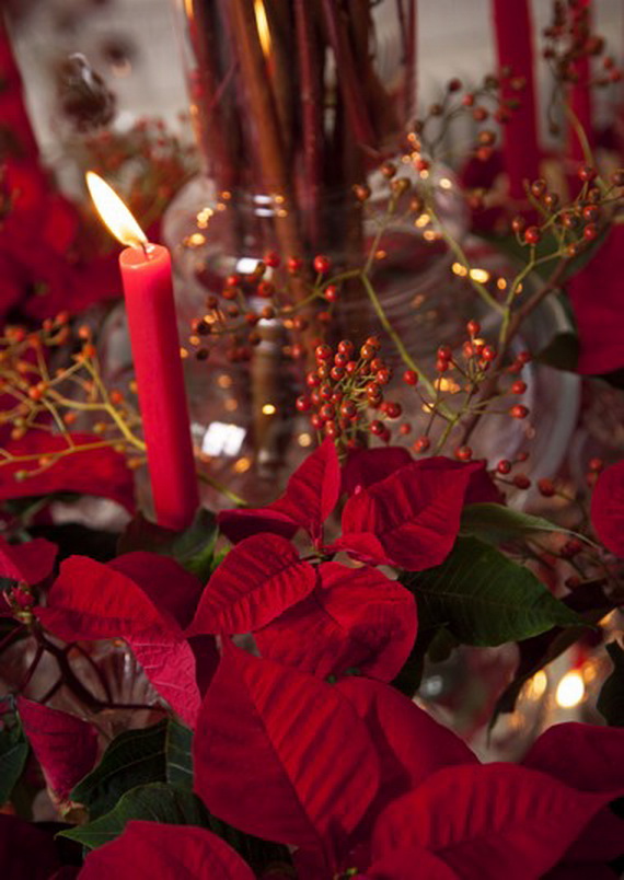 Decorate Christmas with 45 ideas poinsettias the holidays’ most loved plant_23