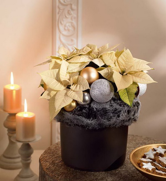 Decorate Christmas with 45 ideas poinsettias the holidays’ most loved plant_32
