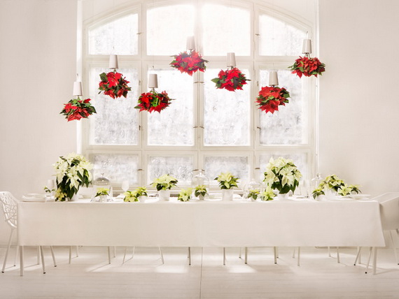 Decorate Christmas with 45 ideas poinsettias the holidays’ most loved plant_39